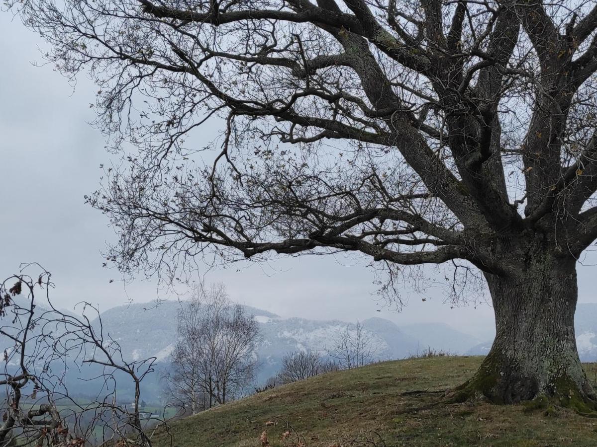 Gite Des 3 Arbres Aramits ภายนอก รูปภาพ